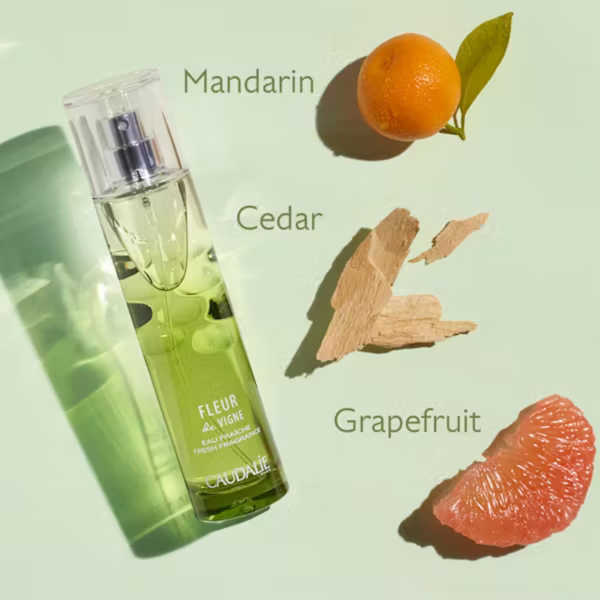 Caudalie Fleur de Vigne Fresh Fragrance 50ml Mandarin, Cedar and Grapefruit