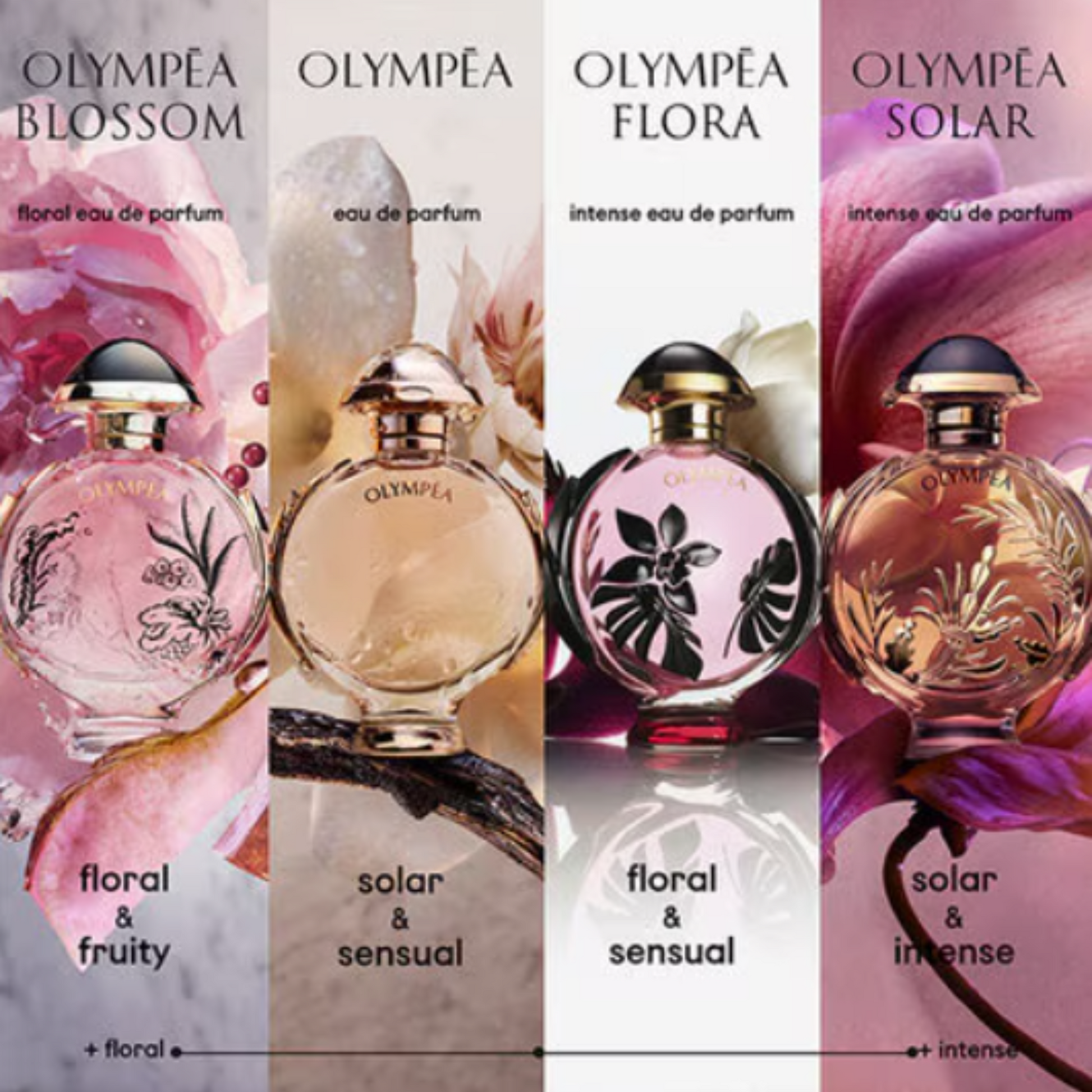 Paco Rabanne Olympea Florale Perfume Notes